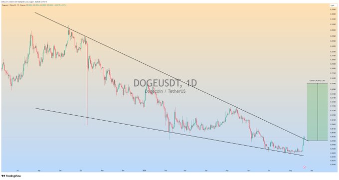 A TradingView daily chart of DOGEUSDT (Dogecoin/TetherUS) showing a descending falling wedge pattern with converging trendlines, highlighted by a green bullish projection zone on the right indicating a potential upside breakout target that aligns with the post's call for a massive bullish rally on a momentum breakout.