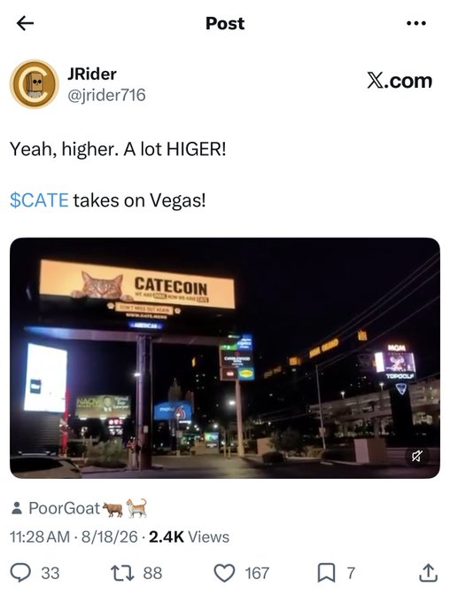 A nighttime photo shows a large illuminated billboard advertising "CATECOIN" on a Las Vegas street, alongside other lit signs including a Crypto.com advertisement. The tweet from @jrider716 celebrating "$CATE takes on Vegas!" aligns with the accompanying post about the CATECOIN promotion, despite the author's claim of being shadow banned.
