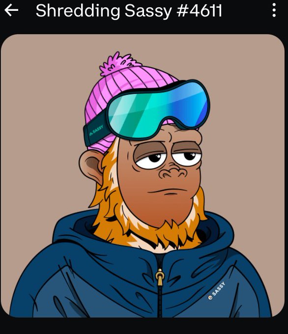 A digital NFT artwork titled 'Shredding Sassy #4611' depicting a cartoon orangutan with a beard wearing a pink beanie, blue ski goggles, and a blue jacket branded with '@SASSY'.