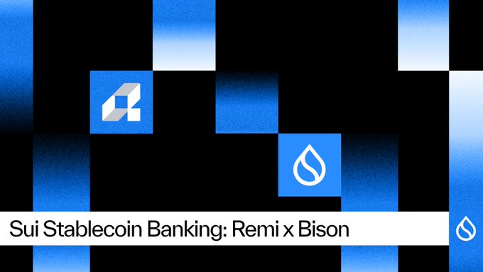 A graphic with a blue and black checkered background displays the text 'Sui Stablecoin Banking: Remi x Bison' alongside two logos.
