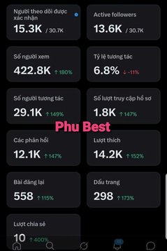 A Vietnamese social media analytics dashboard with metrics including 15.3K reached users, 13.6K active followers, 422.8K views, and overlaid pink text reading 'Phu Best'.