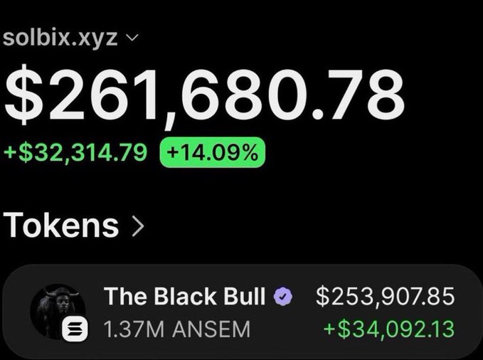 A screenshot of a portfolio showing solbix.xyz holding $261,680.78 with a +14.09% gain, featuring "The Black Bull" token with 1.37M ANSEM holdings valued at $253,907.85 and a +$34,092.13 increase. The image illustrates the post's claim of turning a $4,700 investment into over $282,000 profit on an $Ansem call.