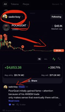 A screenshot showing the Pump.fun profile of "sadcrissey" (circled in red) with their token "POOHOOAT" displayed at a $45.1K market cap and +230.71% gain. The post references a token called $BABYCATE claiming to deliver real $CATE exposure to holders, with a contract address provided for trading on what appears to be a Solana-based DEX.
