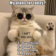 A meme image of a cat wearing sunglasses holding a mug that says 'I DON'T WORK HERE' with the text 'My plans for today? 1. Overthink 2. Overeat 3. Oversleep 4. Repeat'.