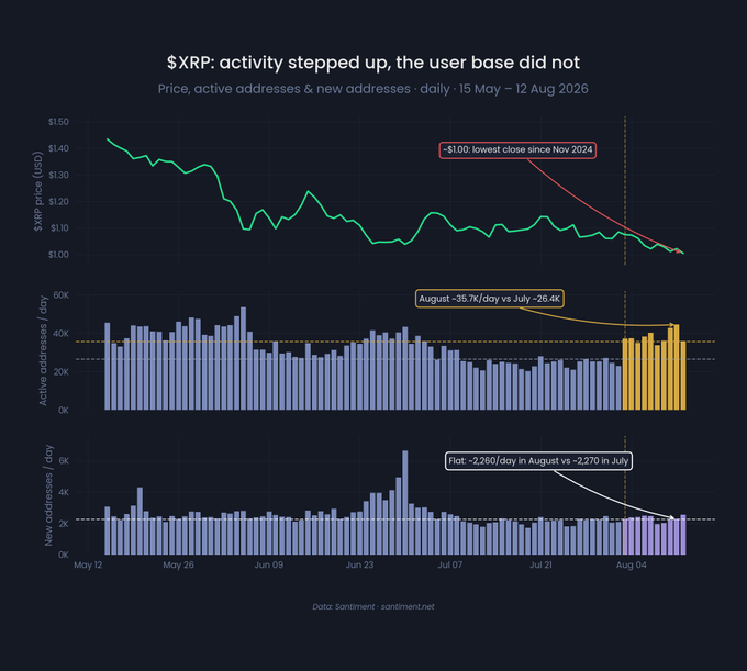 A multi-panel chart titled "$XRP: activity stepped up, the user base did not" tracking daily price, active addresses, and new addresses from May 15 to August 12, 2026, showing XRP's price falling to a $1.00 close—its lowest since November 2024—while active addresses rose to ~35.7K/day in August (up from ~26.4K/day in July) and new addresses remained flat at ~2,260/day versus ~2,270 in July.