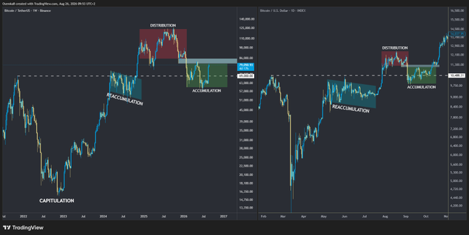 TradingView charts showing Bitcoin and Orenji/U.S. Dollar with Wyckoff method annotations labeling market phases including 'CAPITULATION', 'REACCUMULATION', 'DISTRIBUTION', and 'ACCUMULATION' zones across the price action.