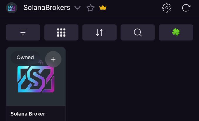 Screenshot of the SolanaBrokers NFT collection showing an 'Owned' Solana Broker token with a neon gradient logo.