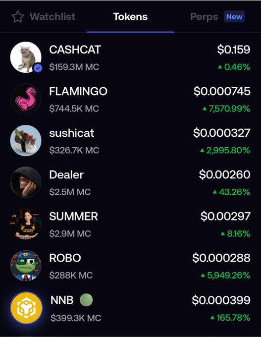 A mobile app screenshot showing a cryptocurrency 'Tokens' watchlist with meme coins including CASHCAT ($0.159, +0.46%), FLAMINGO ($0.000745, +7,570.99%), sushicat ($0.000327, +2,995.80%), Dealer ($0.00260, +43.26%), SUMMER ($0.000297, +8.16%), ROBO ($0.000288, +5,949.26%), and NNB ($0.000399, +165.78%).