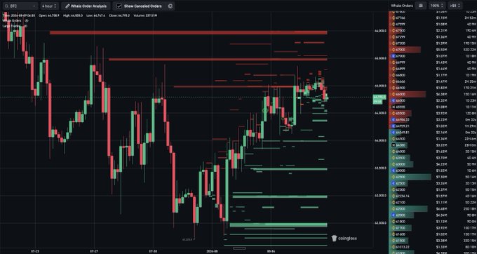 A candlestick chart of Bitcoin (BTC) shows whale order analysis with heavy sell-side orders clustered in the $65,000–$66,000 resistance zone, visually confirming the post's observation that this range is the key barrier bulls must overcome before any move toward $73K becomes realistic.