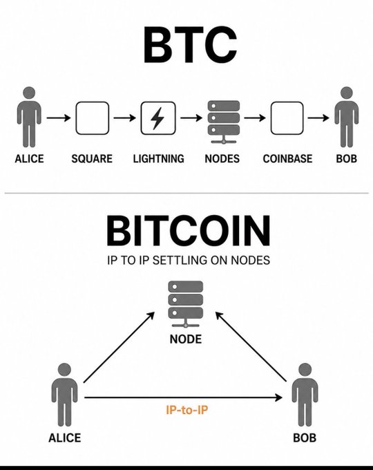 An infographic comparing 'BTC' (showing a flow from Alice through Square, Lightning, Nodes, and Coinbase to Bob) with 'BITCOIN' (depicting direct IP-to-IP settling on nodes between Alice and Bob).