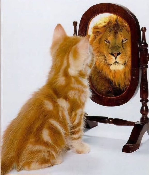An orange tabby kitten sitting on a white surface and looking at its reflection in a mirror, which shows the reflection as a full-grown lion instead of a cat.