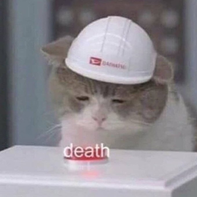 The image features a cat wearing a white hard hat, which appears to be a construction helmet designed for humans. The cat's head is tilted down towards a red button with the word "DREAD" written on it. The background of the image shows an elevator or a building, suggesting that this scene takes place in an urban setting. The caption below the image reads: "Every week has a new peace headline with stocks hitting new ATHs yet BTC getting closer to 60s".