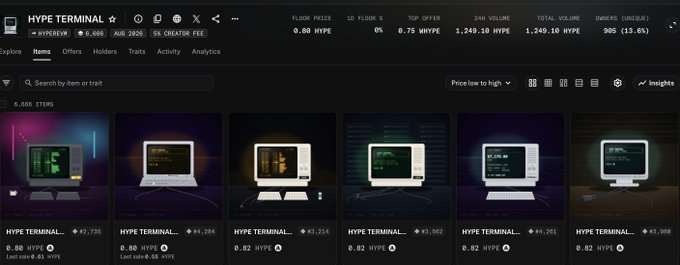 A dark-themed interface for 'HYPE TERMINAL' displaying a marketplace with 6,666 items, showing various computer terminals and monitors listed for sale in HYPE.