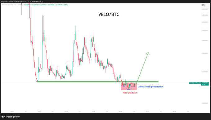 A TradingView chart of VELO/BTC displays a long-term price decline followed by a highlighted "Manipulation" zone and "Uterus-birth-preparation" pattern at a key support level (~0.00000035 BTC), with a green arrow projecting an expected bullish reversal higher.