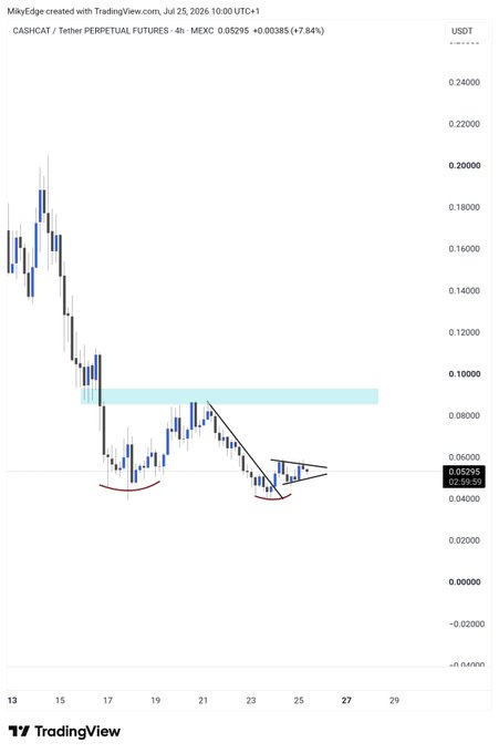 This is a TradingView chart showing the CASHCAT/Tether Perpetual Futures, currently trading at 0.05295 USDT. The post suggests this chart, with its apparent bottoming pattern, is a significant meme coin on the Robinhood chain.