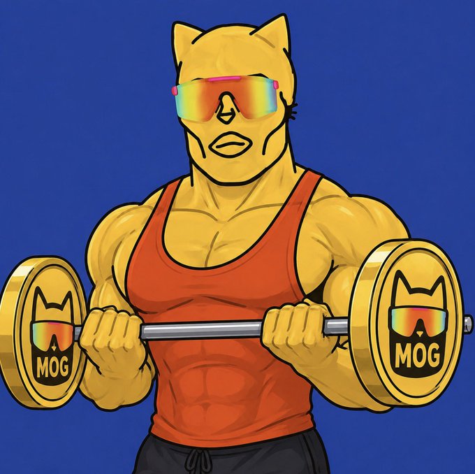 An illustration of a muscular cat character wearing rainbow sunglasses and an orange tank top, lifting a barbell with weights labeled 'MOG' on a blue background.