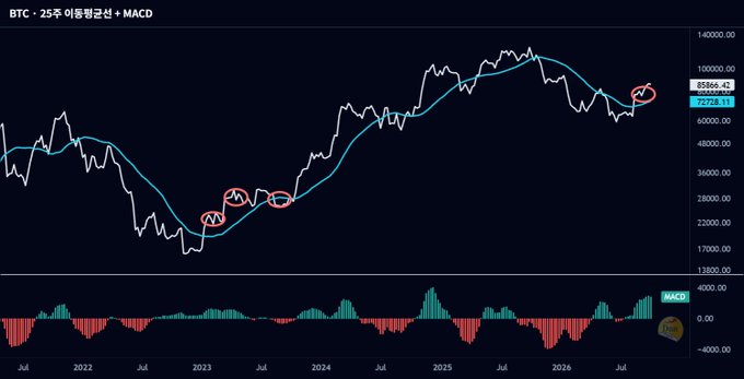 A Bitcoin (BTC) candlestick chart titled 'BTC · 25주 이동평균선 + MACD' shows price action against a 25-week moving average with red circles marking crossovers and a MACD histogram below.