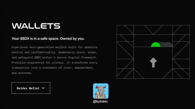 A Beldex Wallets webpage describes a secure next-generation wallet for $BDX with privacy features, alongside an NFT avatar labeled '@kylobtc'.
