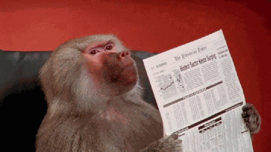 The image features a monkey sitting comfortably on a chair, holding up a newspaper with both hands as if reading or presenting it for others to see. The background of the image has a red hue, which contrasts nicely with the brown fur of the monkey. The caption below the image reads "POV: reviewing the news from Biconomy".