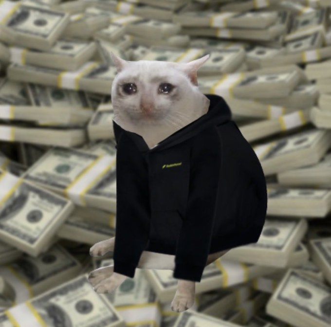 Crying cat wearing a black hoodie sitting in front of a massive pile of bundled US dollar bills.