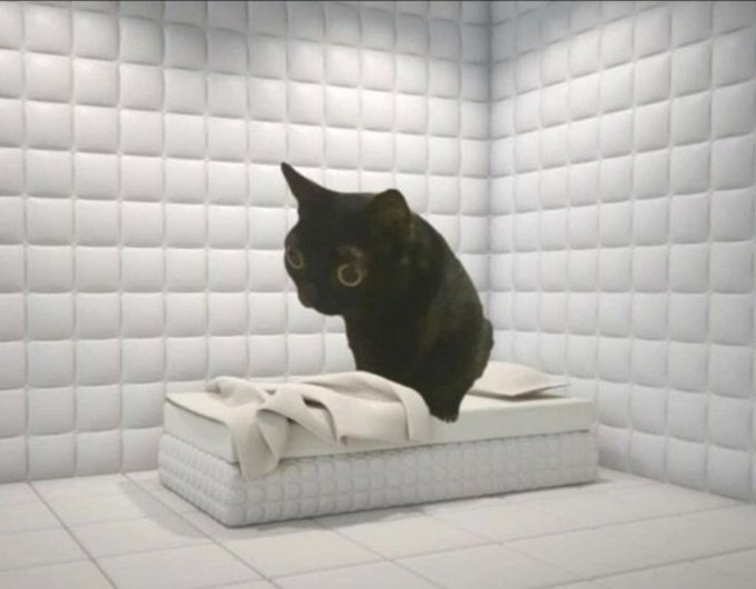 A black cat with wide eyes sits on a folded white towel atop a mattress in a white padded room.