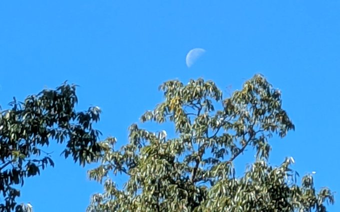 The image shows the moon in a waning gibbous phase, partially obscured by daylight, rising above the treetops against a bright blue sky. The moon serves as a visual metaphor for the post's message about keeping your dreams and ambitions hidden until your success, like the moon's quiet presence in the sky, speaks for itself.