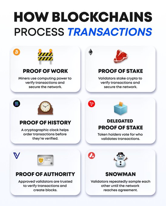 An infographic titled 'HOW BLOCKCHAINS PROCESS TRANSACTIONS' displaying six consensus mechanisms: Proof of Work (with Bitcoin logo), Proof of Stake (Ethereum), Proof of History (Solana), Delegated Proof of Stake, Proof of Authority (VeChain), and Snowman (Avalanche), each with a brief description.