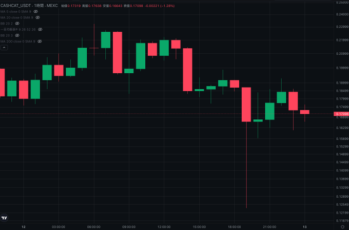 A candlestick chart of CASH/CAT_USDT on MEXC shows a 1-hour timeframe with the current price at 0.17298, down -1.28%, illustrating the volatile price action that frustrated the trader's attempts at both long and short positions on the meme coin. The chart reveals wild swings, including a sharp drop near 0.12400 in the lower range and a recovery toward 0.21000, visually supporting the post's complaint about the unfair market movements that caused repeated stop-loss hunts.