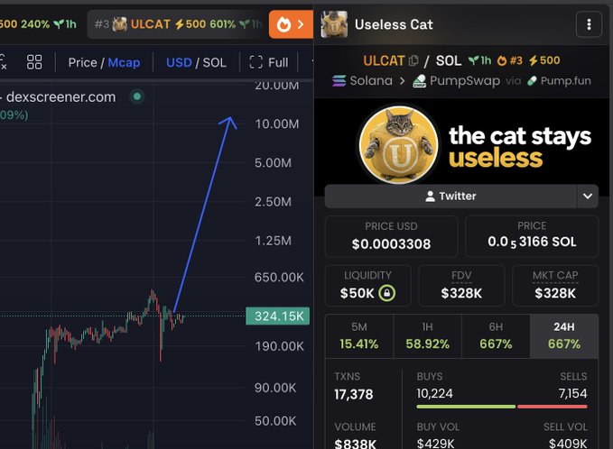 A Dexscreener chart shows ULCAT ($Useless Cat) on Solana/PumpSwap with a price of $0.0003308, market cap of $328K, and a massive 667% surge in 24H, illustrating the speculative hype behind the post's claim that a $1,000 investment could balloon to $100,000.