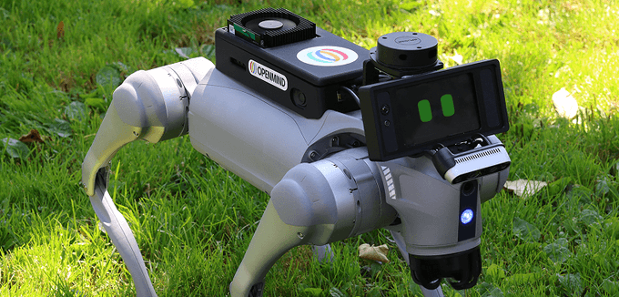 A gray quadruped robot labeled "OPENMIND" stands in a grassy area, featuring a screen displaying green digital eyes and various sensors on its body. The image illustrates the post's argument that the high cost of an OpenMind robot (296,000 Pi) is impractical for ordinary Pi pioneers, not wealthy investors.