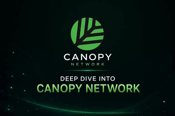 Dark promotional banner for 'Canopy Network' featuring a green leaf logo and the tagline 'Deep Dive into Canopy Network'.
