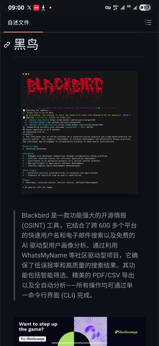 A mobile screenshot from a self-media article titled "黑鸟" (Blackbird) features the Blackbird OSINT tool's dark terminal interface displaying its CLI banner and command list, alongside Chinese promotional text highlighting its ability to search 600+ platforms, perform WhatsMyName username analysis, and export results in multiple formats—all reinforcing the post's theme of exposing open-source investigation tools used for doxxing and digital reconnaissance.