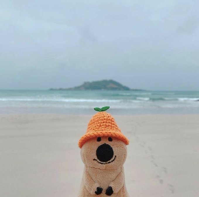 A small beige plush toy wearing an orange crocheted hat with a green leaf on top sits on a sandy beach with a calm ocean and an island in the background.
