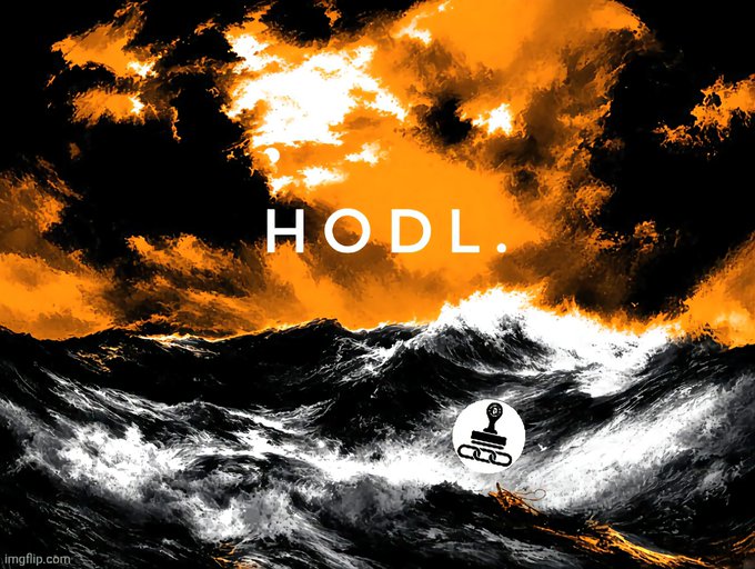 A dramatic orange and black stormy seascape displays the text 'HODL.' with a small robot character floating on the waves.