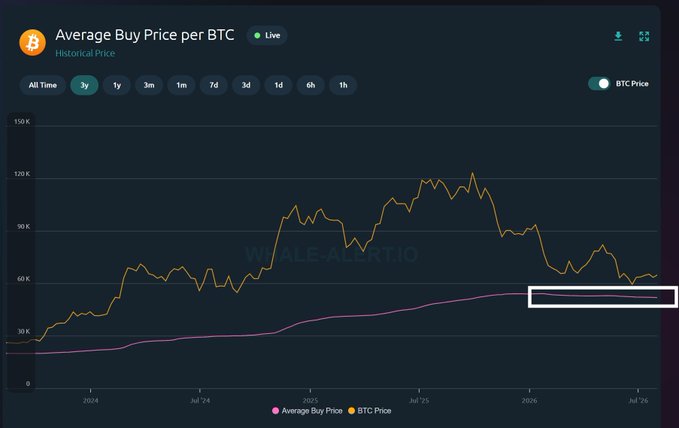A dark-themed crypto chart from Whale-Alert.io displays the "Average Buy Price per BTC" over a 3-year period, with the BTC Price (orange) peaking near $120K in 2025 before declining, while the Average Buy Price (pink line) shows a steady rise to approximately $52K, where a white box highlights the current convergence as price retests this key level.
