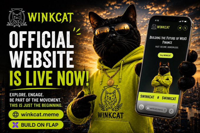 Promotional advertisement for "WINKCAT" announcing its official website launch, featuring a black cat in sunglasses and a yellow hoodie, with links to winkcat.meme and "BUILD ON FLAP."
