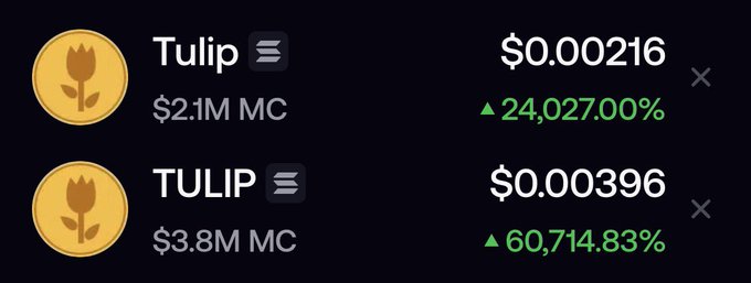 The image shows two Solana memecoins, "Tulip" at $0.00216 with a $2.1M market cap up 24,027%, and "TULIP" at $0.00396 with a $3.8M market cap up 60,714.83%, illustrating the wild pumps happening on the Solana blockchain.