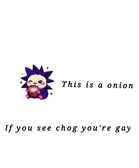 A meme featuring a cartoon purple spiky creature holding an onion with text reading 'This is a onion' and 'If you see chog you're gay'.