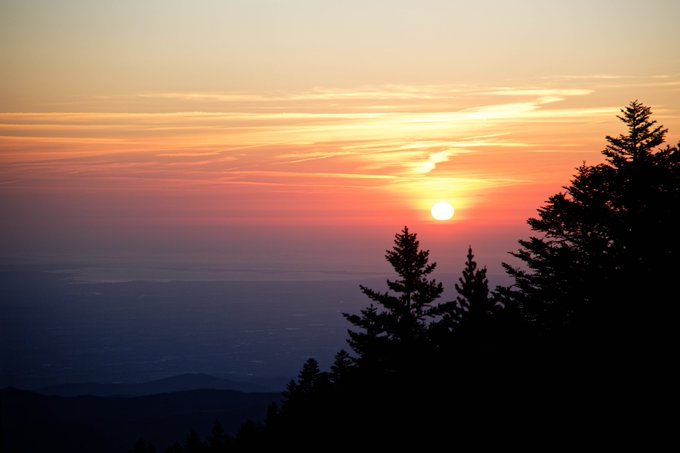 A vibrant sunset viewed from a mountain overlook with silhouetted evergreen trees in the foreground and a hazy valley below.