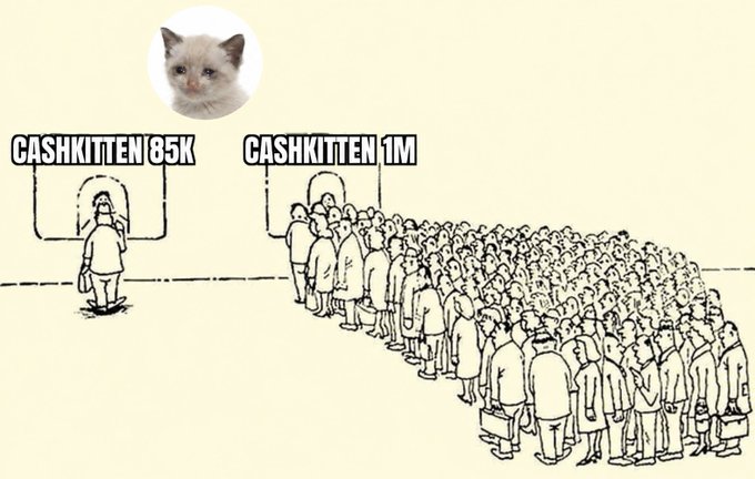 A meme illustration showing a Siamese cat's face overlaid on a stark scene where one person stands alone at a door labeled 'CASHKITTEN 85K' while a massive crowd queues at a door labeled 'CASHKITTEN 1M'.