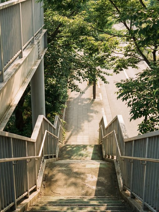 A view looking down a set of metal-railed concrete stairs leading to a tree-lined sidewalk and road, with lush green foliage framing the scene.