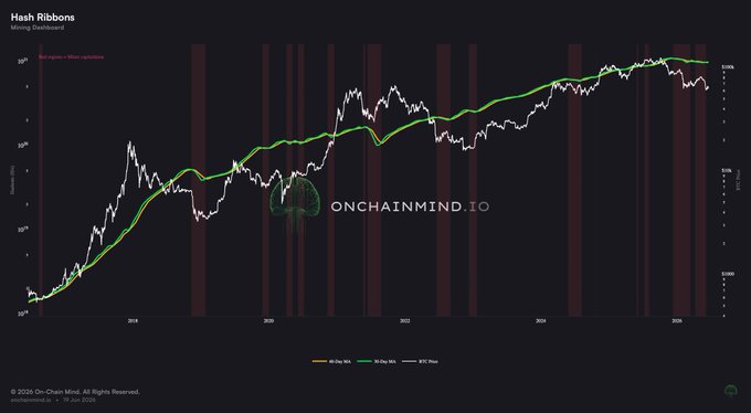 The image shows an upward trend of cryptocurrency prices, as indicated by a graph that displays the increase of Hash Ribbons against a dark grey background. The graph's scale ranges from 0% to 1%, showing the rise of this digital currency over time. The data also indicates miner capitulation and a fragile recovery, which suggests that the cryptocurrency market is still in its early stages of growth. The post provides context for this information, stating that Hash Ribbons have fired a positive cross, typically signaling the end of mining bottlenecks and a potential recovery in the market.