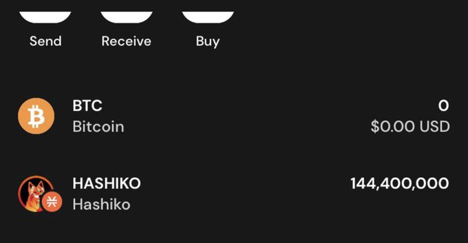 Cryptocurrency wallet interface showing BTC balance of 0 ($0.00 USD) and HASHIKO balance of 144,400,000, with Send, Receive, and Buy options at the top.