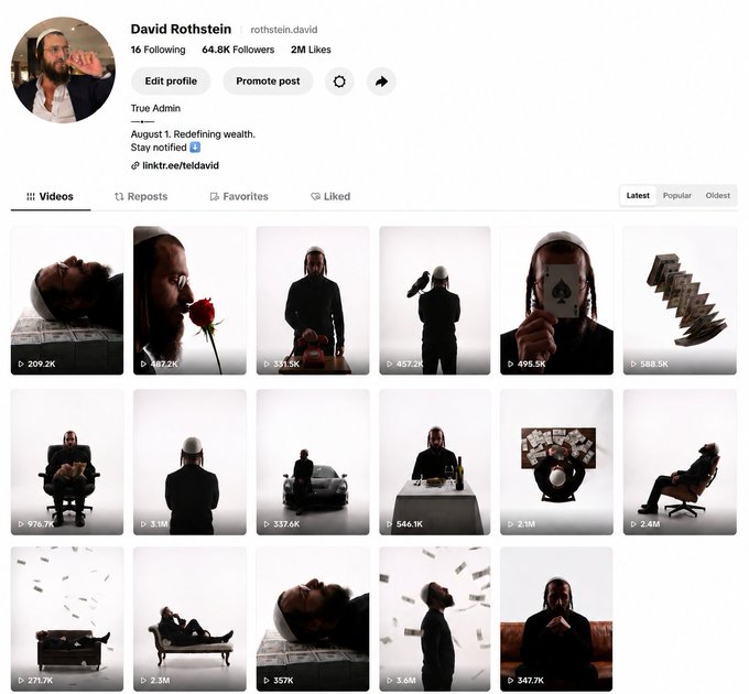 The image shows the TikTok profile of David Rothstein (@rothstein.david) with 64.8K followers and 2M likes, displaying a grid of his "Videos" tab featuring dark, artistic thumbnails with view counts ranging from 209.2K to 3.8M. While the profile emphasizes "Redefining wealth" and luxury imagery (money, cars, diamonds), it likely appears alongside a post soliciting crypto/Solana tips, suggesting the creator is leveraging their visual aesthetic of wealth and success to attract engagement and crypto donations.