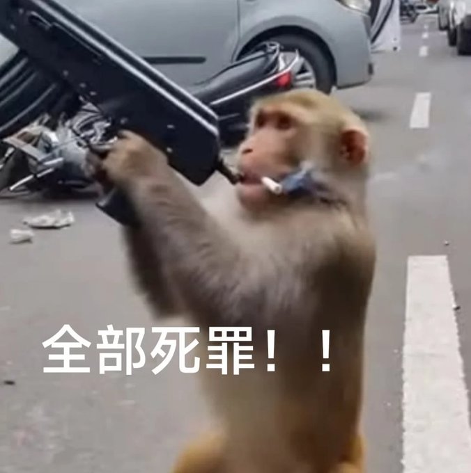 A monkey holding a rifle with a cigarette in its mouth stands in front of a crashed car, with Chinese text '全部死罪！！' (All crimes punishable by death!!) overlaid.