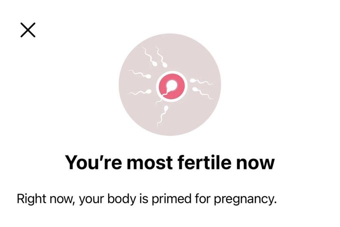 A fertility app notification displays a stylized egg icon with the message "You're most fertile now" and "Right now, your body is primed for pregnancy."