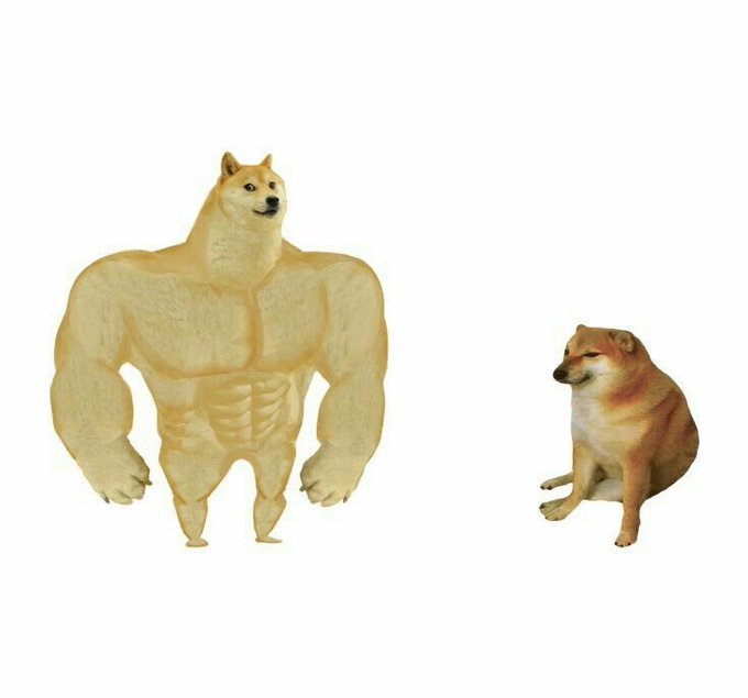 Meme featuring the muscular 'Swole Doge' Shiba Inu character standing next to a normal-sized, sad-looking Shiba Inu dog on a white background.