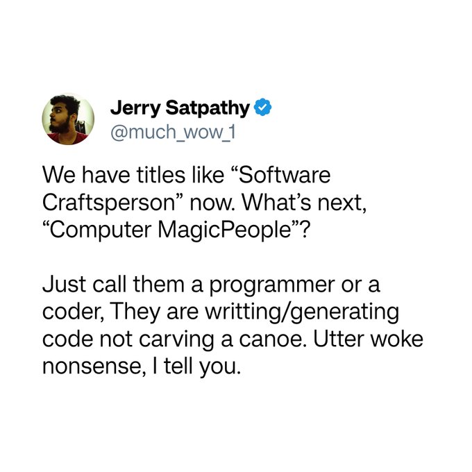 A screenshot of a tweet by Jerry Satpathy (@much_wow_1) criticizing the title 'Software Craftsperson', calling it 'utter woke nonsense' and arguing programmers should just be called programmers or coders.
