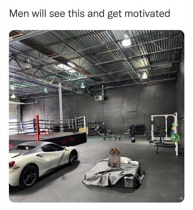 A meme captioned 'Men will see this and get motivated' shows a gym containing a sports car, workout equipment, and a tiny hamster sitting on a bed.