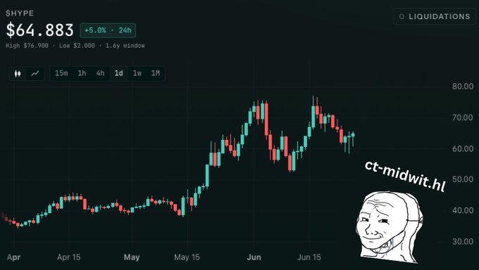 A candlestick chart shows $HYPE trading at $64.883, up 5.0% in 24 hours with a daily range of $2.000–$76.900, featuring a "ct-midwit.hl" watermark alongside the classic "brain not working" face meme mocking crypto Twitter's failed attempts to time the token's volatility.